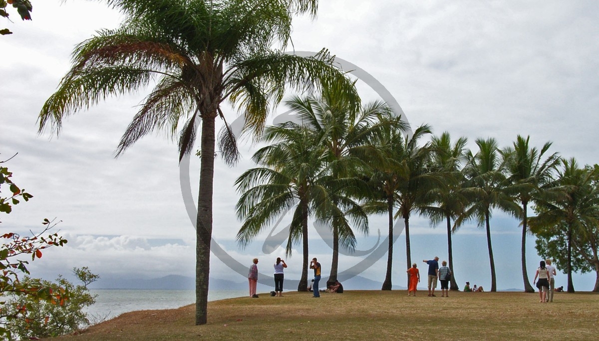 Port Douglas_R-11076.jpg