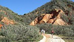 Fraser Island_R5a-1416.jpg