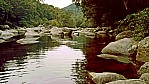 Mossman Gorge_C04-01-41.jpg