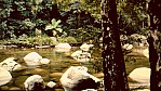 Mossman Gorge_C04-01-48.jpg