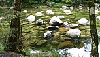 Mossman River_R-11065.jpg