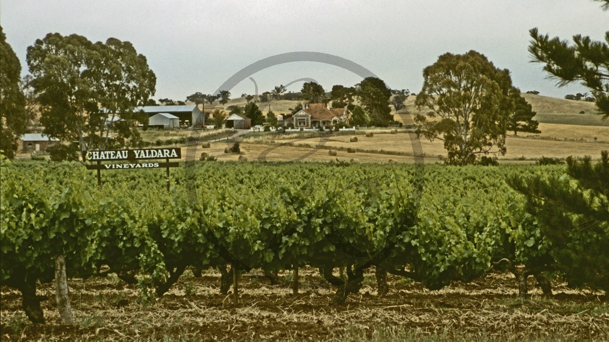 Barossa Valley - Lyndoch - Yaldara Weingut_C04-10-06.jpg