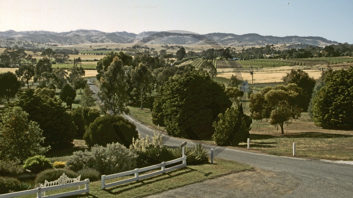 Barossa Valley - Lyndoch Hill - Yaldara Weingut_C04-10-03.jpg