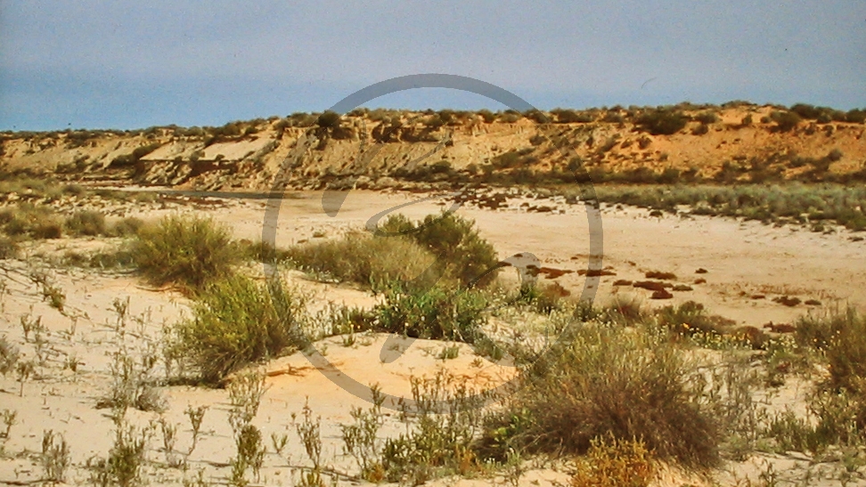 Cooper Creek - Cuttupirra Waterhole - Steilufer_C04-31-37.JPG