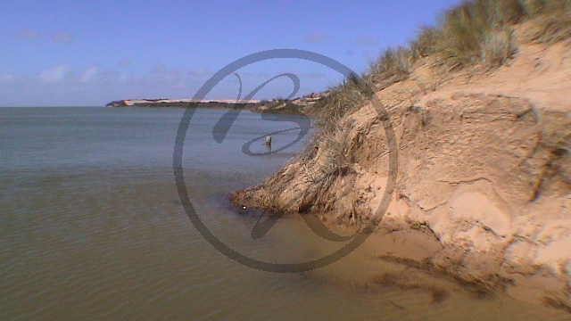 Coorong Nationalpark - Dünen_(SA-2003-318).jpg