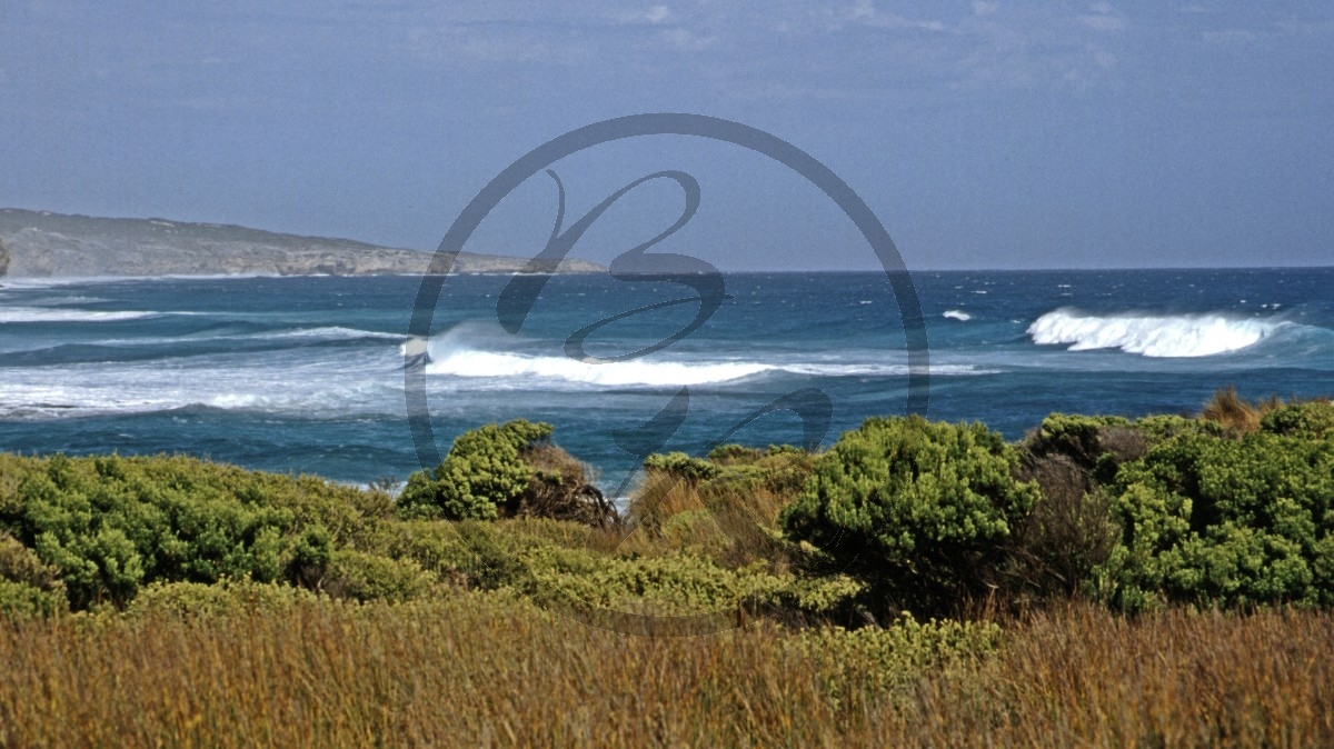 Kangaroo Island - Hanson Bay_C04-25-50.jpg