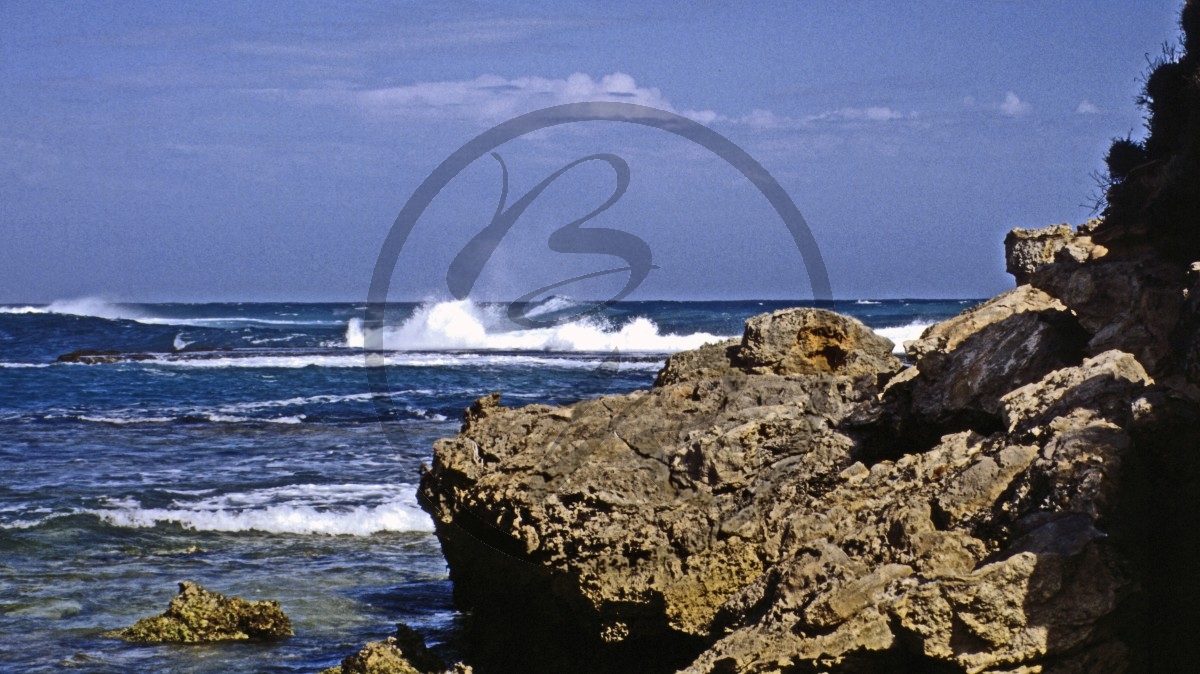 Kangaroo Island - Hanson Bay_C04-26-04.jpg