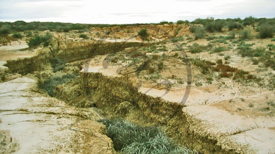 Lake Eyre - Regenabfluss_C04-32-11.JPG