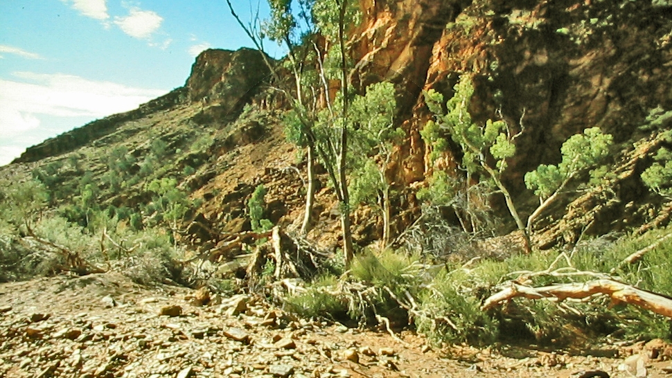 Mt. Chamber Creek - Flinders Range Nationalpark_C04-33-13.JPG