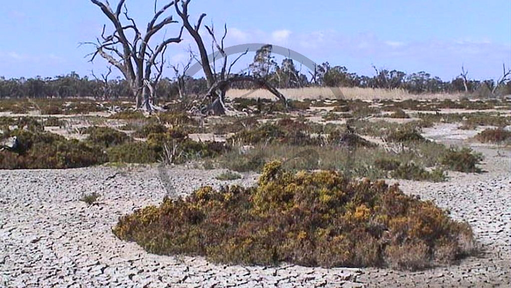 Murray River - Banrock Station - ausgetrocknetes Sumpfland_(SA-2003-301).jpg