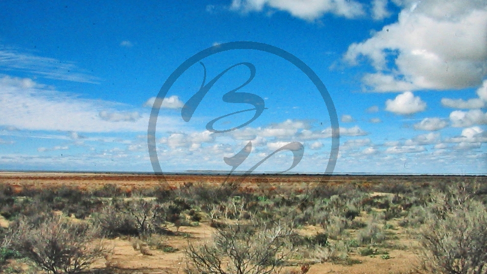 Outback - Buschland_C04-29-33.JPG