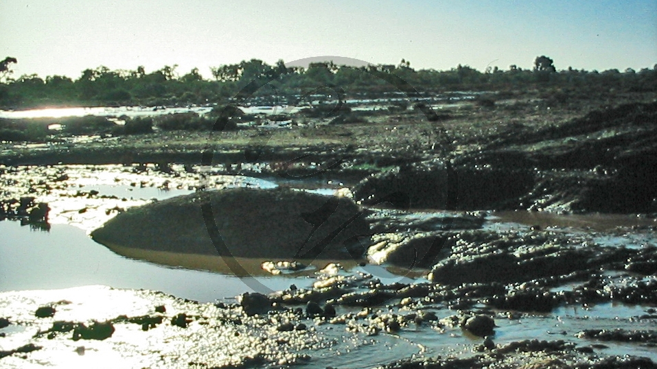 Outback - Neales River - Morast_C04-30-21.JPG