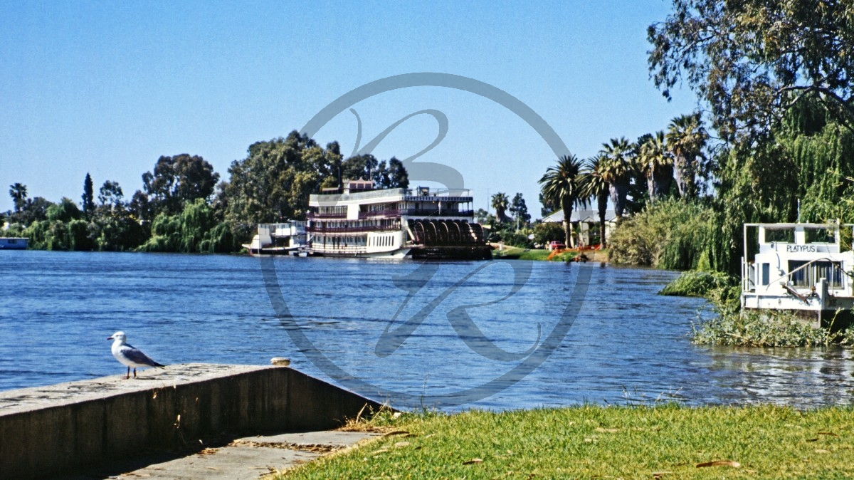 Renmark - Murray River - Raddampfer_C04-27-24.jpg