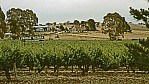 Barossa Valley - Lyndoch - Yaldara Weingut_C04-10-06.jpg