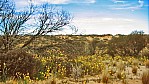 Cooper Creek - Cuttupirra Waterhole - Outback - Buschland_C04-31-43.JPG