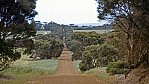 Kangaroo Island - Gap Road - Gravelroad-Allee_C04-25-43.jpg