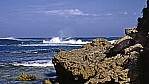 Kangaroo Island - Hanson Bay_C04-26-04.jpg