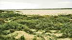 Lake Eyre - Cooper River Mndung (mouth)_C04-32-09.JPG