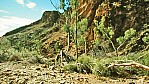 Mt. Chamber Creek - Flinders Range Nationalpark_C04-33-13.JPG