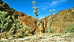 Mt. Chamber Creek - Flinders Range Nationalpark_C04-33-15.JPG