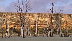 Murray River - Blanchetown - Steilufer_(SA-2003-304).jpg