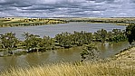 Murray River - Hochwasser bei Bow Hill_C04-24-50.jpg