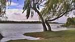 Murray River - Wellington - Hochwasser_SA-2003-416.jpg