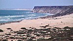 Nullarbor Nationalpark - Great Australian Bight - Steilkste_(SA-2003-286).jpg