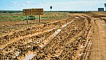 Oodnadatta-Track - Morast_C04-30-06.JPG