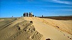 Outback (bei Etadunna) - Sanddne_C04-31-09.JPG