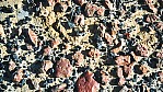 Outback (bei Etadunna) - steiniger Boden_C04-30-41.JPG