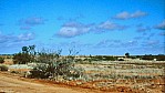 Outback - Birdsville Track_C04-30-22.JPG