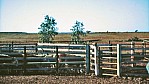 Outback - Etadunna - Ranch - Rindergatter_C04-30-32.JPG