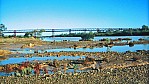 Outback - Neales River - Morast - Algebucka Brcke (bridge) - 576 Meter lang_C04-30-19.JPG