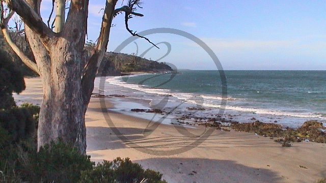 Bucht vor Maria Island (TAS-2001-12).jpg