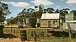 1990_354_C04-09-24_(Farm Kavina).jpg