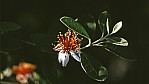 290_1993_D05-18-36.jpg