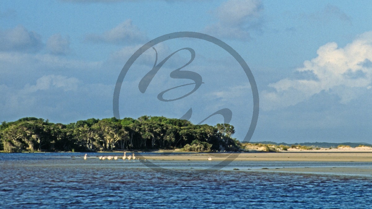 Bremer Bay - Bucht - Dünen_C04-47-38.jpg