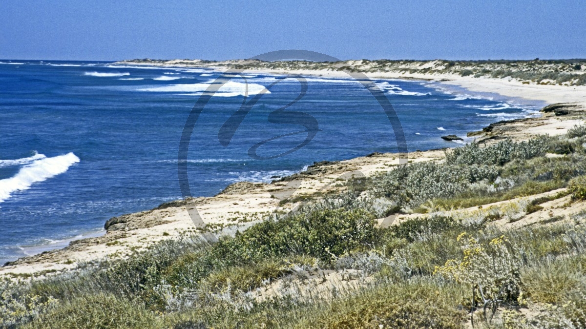 Cape Range Nationalpark - Bucht - Strand_C04-21-12.jpg