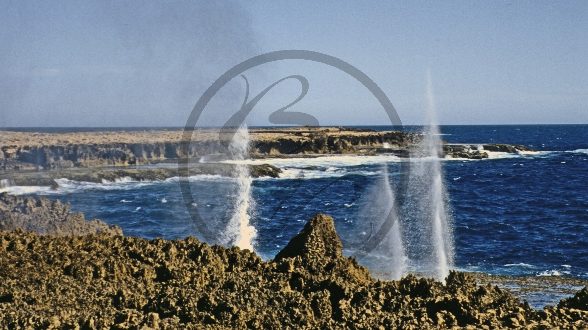 Carnarvon - Küste - Gischtfontänen - Blowholes_C04-21-31.jpg