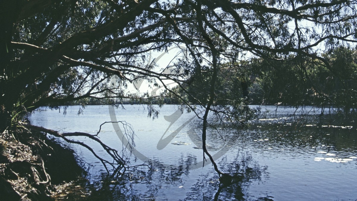 Durack River - Jacks Waterhole_C04-18-02.jpg