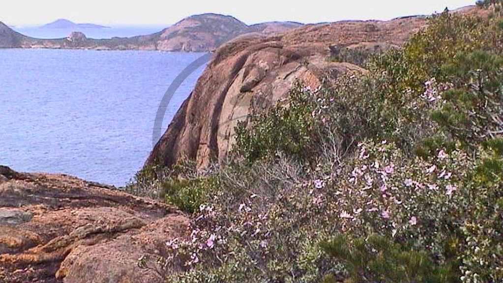 Esperance - Cape Le Grand National Park (2003-271).jpg