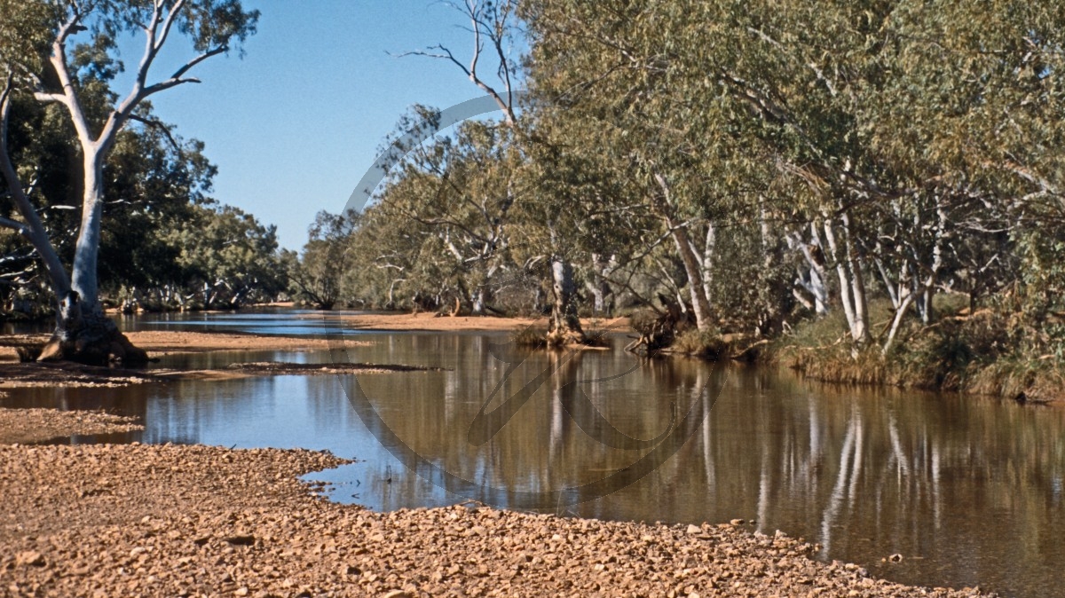 Flussbett - Wasserloch - Billabong_C04-43-35.jpg