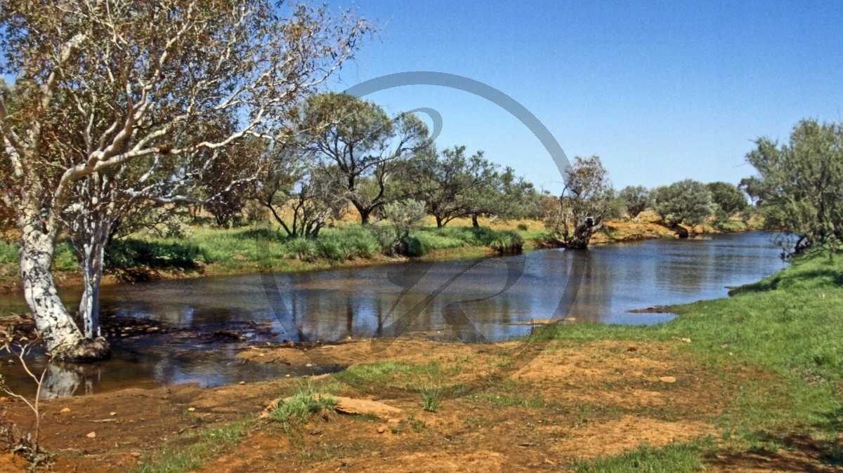 Gascoyne River - Outback - Fluss_C04-44-05.jpg
