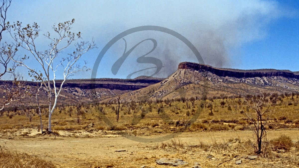 Gibb River Road - Buschfeuer_C04-17-47.jpg