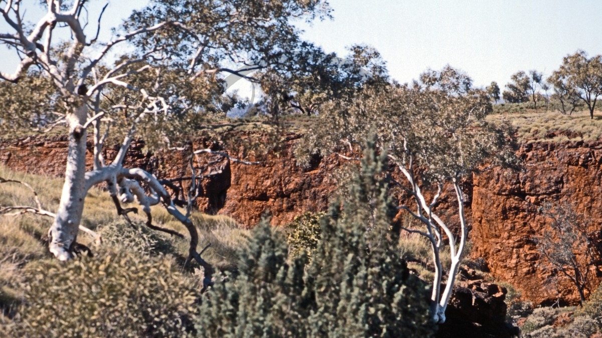 Hamersley Range - Karijini Nationalpark - Dale River - Schlucht_C04-41-15.jpg