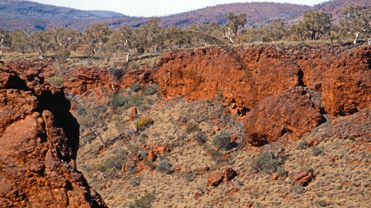 Hamersley Range - Karijini Nationalpark - Dale River - Steilwand_C04-41-17.jpg