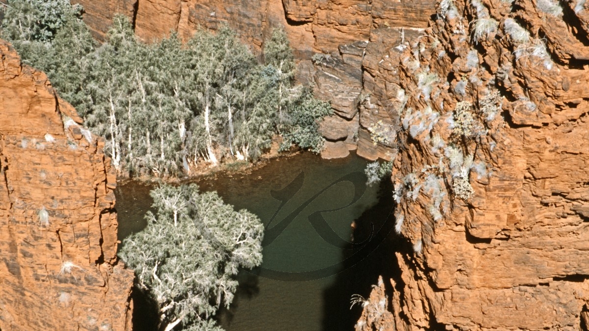 Hamersley Range - Karijini Nationalpark - Oxer Lookout - Schlucht - Steilwand - Wasserloch_C04-41-29.jpg