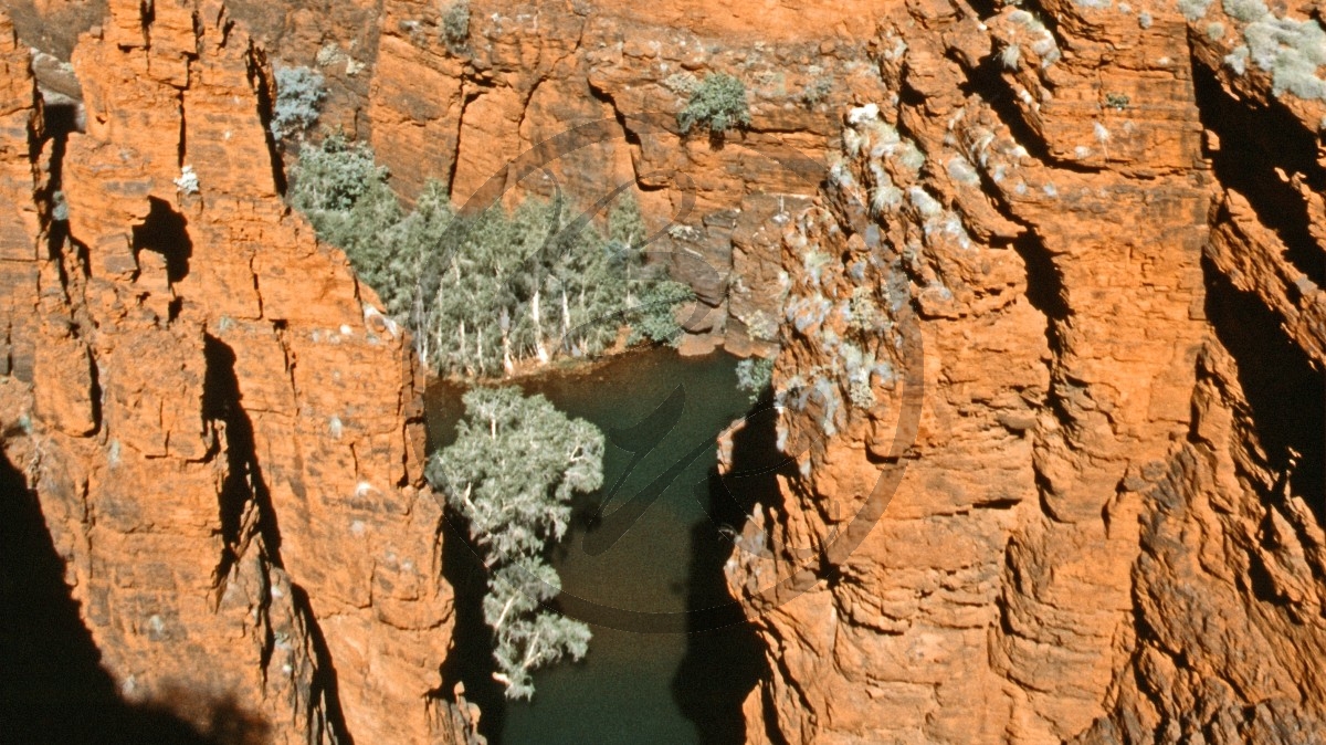 Hamersley Range - Karijini Nationalpark - Oxer Lookout - Schlucht - Steilwand_C04-41-27.jpg