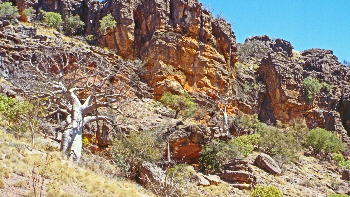 Kimberleys - Napier Range_C04-18-40.jpg